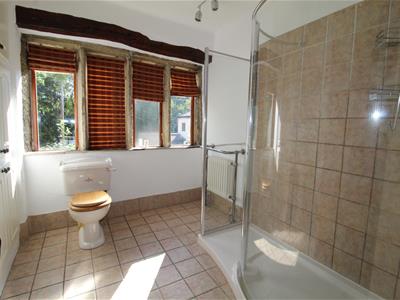 Picture 11